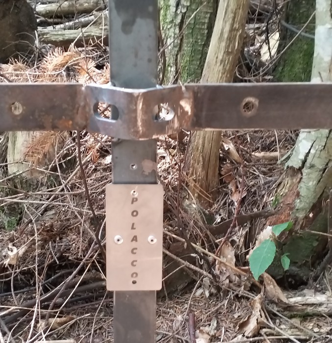 Croce commemorativa dedicata a un partigiano polacco, immersa nella natura.