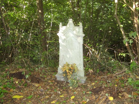Monumento commemorativo immerso nella natura, con vegetazione circostante e foglie a terra.