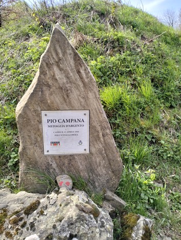 Cippo commemorativo in pietra dedicato a Pio Campana, con medaglia d'argento, circondato da vegetazione.