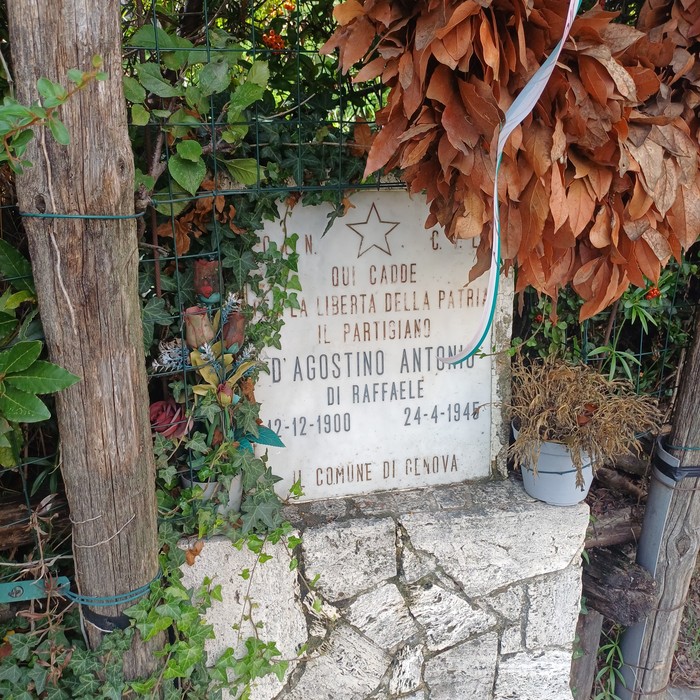 Lapide in marmo con stella e iscrizione, fissata su cippo in pietra tra vegetazione e rami secchi.