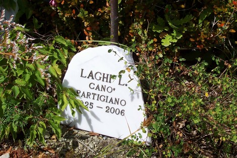 Lapide commemorativa dedicata a Laghel L., partigiano, con date importanti. Decorata da piante circondanti.