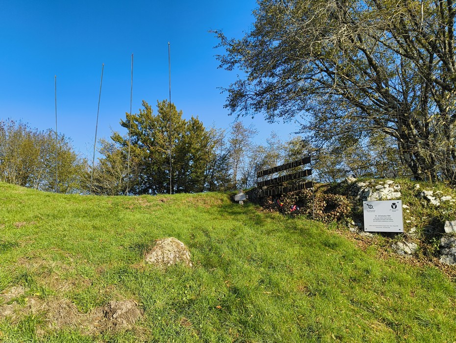 Monumenti storici nel Parco della Linea Gotica, immersi nella natura e nella memoria.