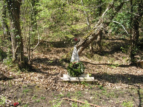 Monumento a Fontanelli, circondato da vegetazione, con una composizione di fiori e un ambiente naturale tranquillo.