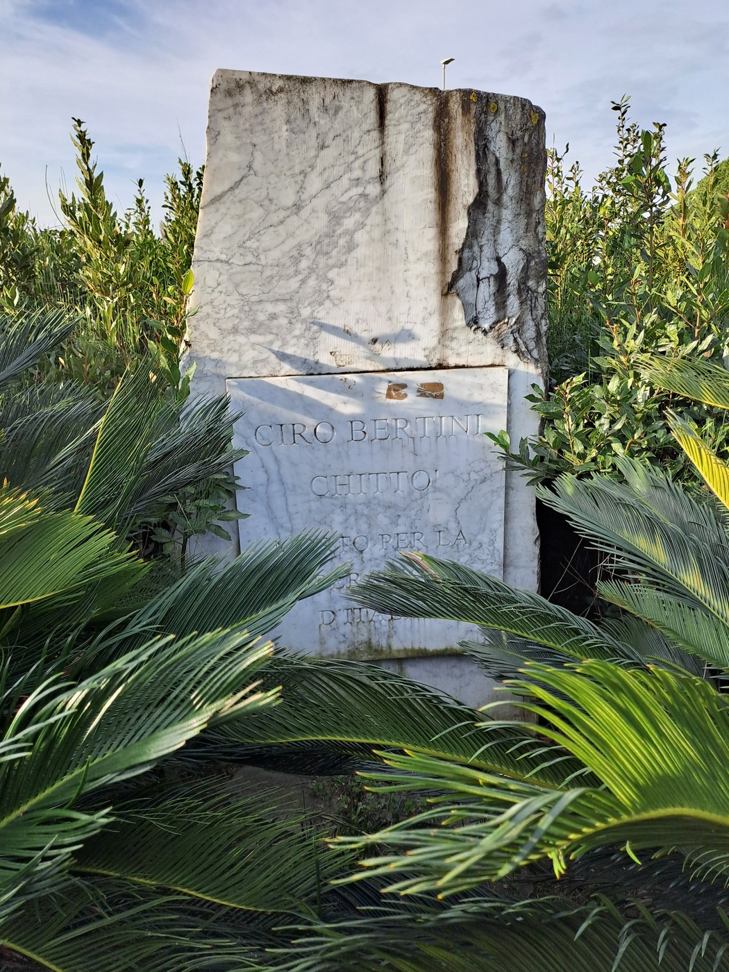 Cippo commemorativo di Ciro Bertini, situato tra la vegetazione a Chittò.