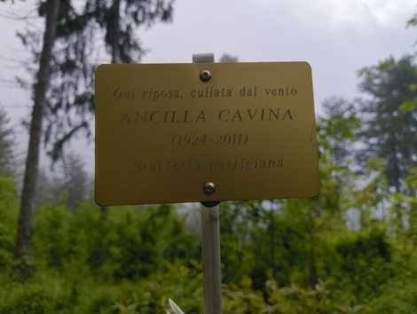 Targa commemorativa di Ancilla Cavina, partigiana, in un bosco, simbolo di memoria storica e resistenza.