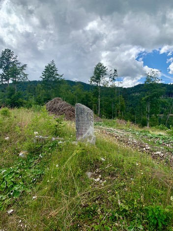 Cippo in pietra in un'area boschiva, circondato da vegetazione e panorami montani. Nuvole nel cielo.