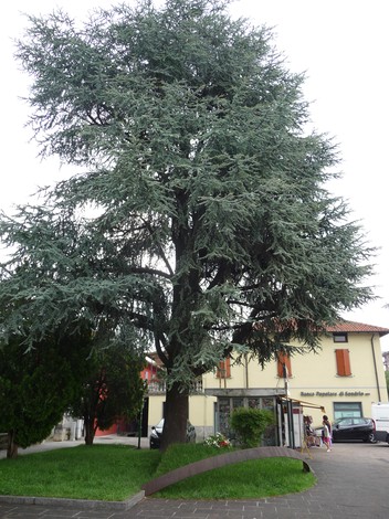 Monumento ai caduti partigiani circondato da un alberi e vicini edifici. Commemorazione storica e tributo.