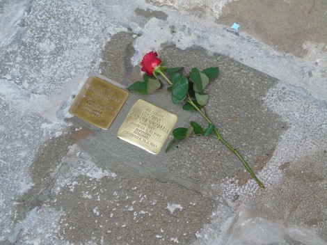 Pietre d'inciampo dedicate alla famiglia Nacamulli, con una rosa posata accanto, a Fano e Ravà.