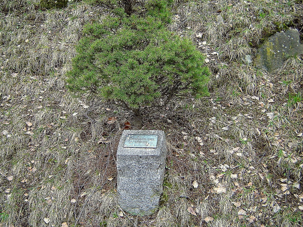 Cippo commemorativo circondato da vegetazione, situato in un'area naturale.
