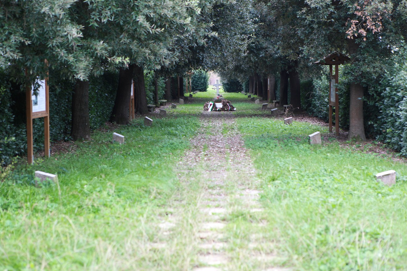 Giardino della meditazione con sentiero alberato, panchine laterali e carezza di verde. Luogo di quiete e riflessione.