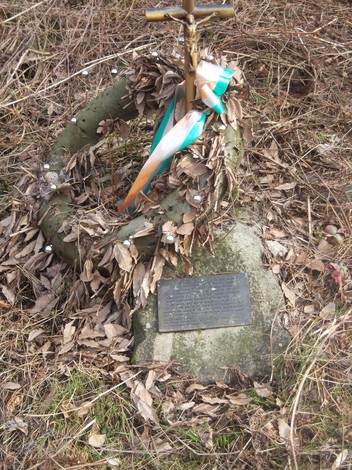 Cippo commemorativo di Nicodemi e Ballotti, circondato da foglie e decorazioni.