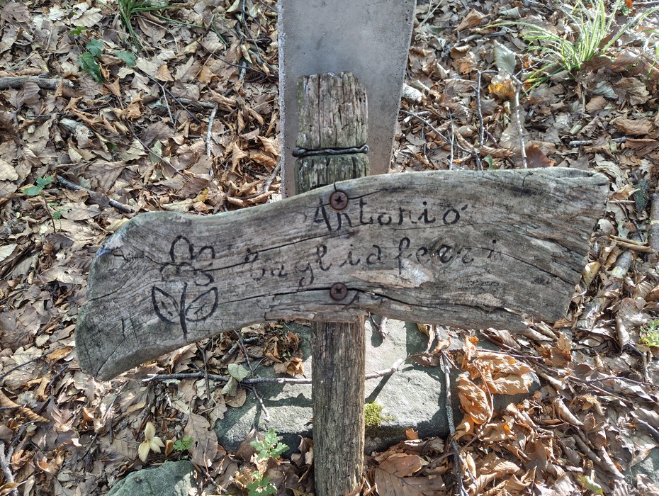 Croce in legno con iscrizione e fiore incisi, piantata nel terreno tra foglie secche nel bosco.