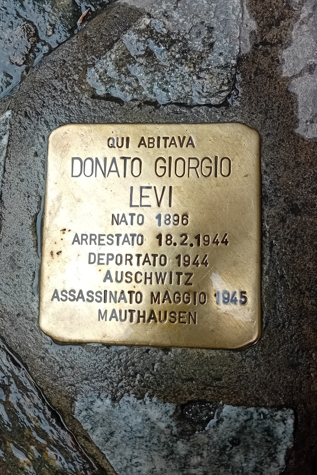 Pietra d'inciampo dedicata a Donato Giorgio Levi, commemorando la sua vita e il destino tragico.