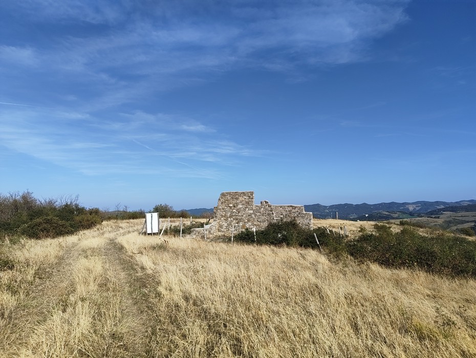Ruderi in pietra di un edificio immersi nella vegetazione, con un sentiero sterrato e colline sullo sfondo.