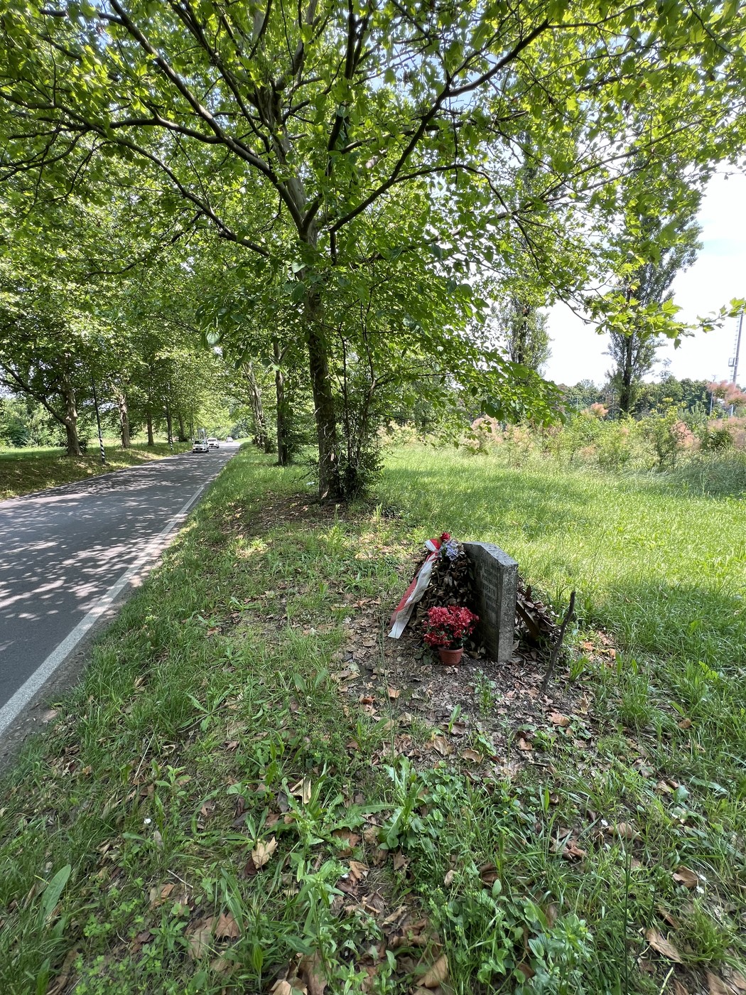 Cippo commemorativo immerso nella natura, con fiori e verde circostante lungo una strada.