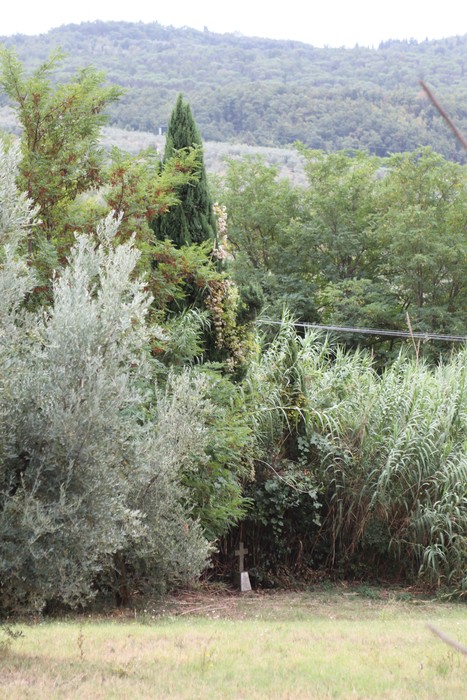 Cippo in marmi e legno circondato da vegetazione, dedicato a Don Eligio Bortolotti in un'area tranquilla.