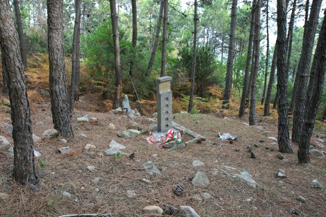 Cippo commemorativo immerso nella foresta, circondato da alberi e vegetazione.