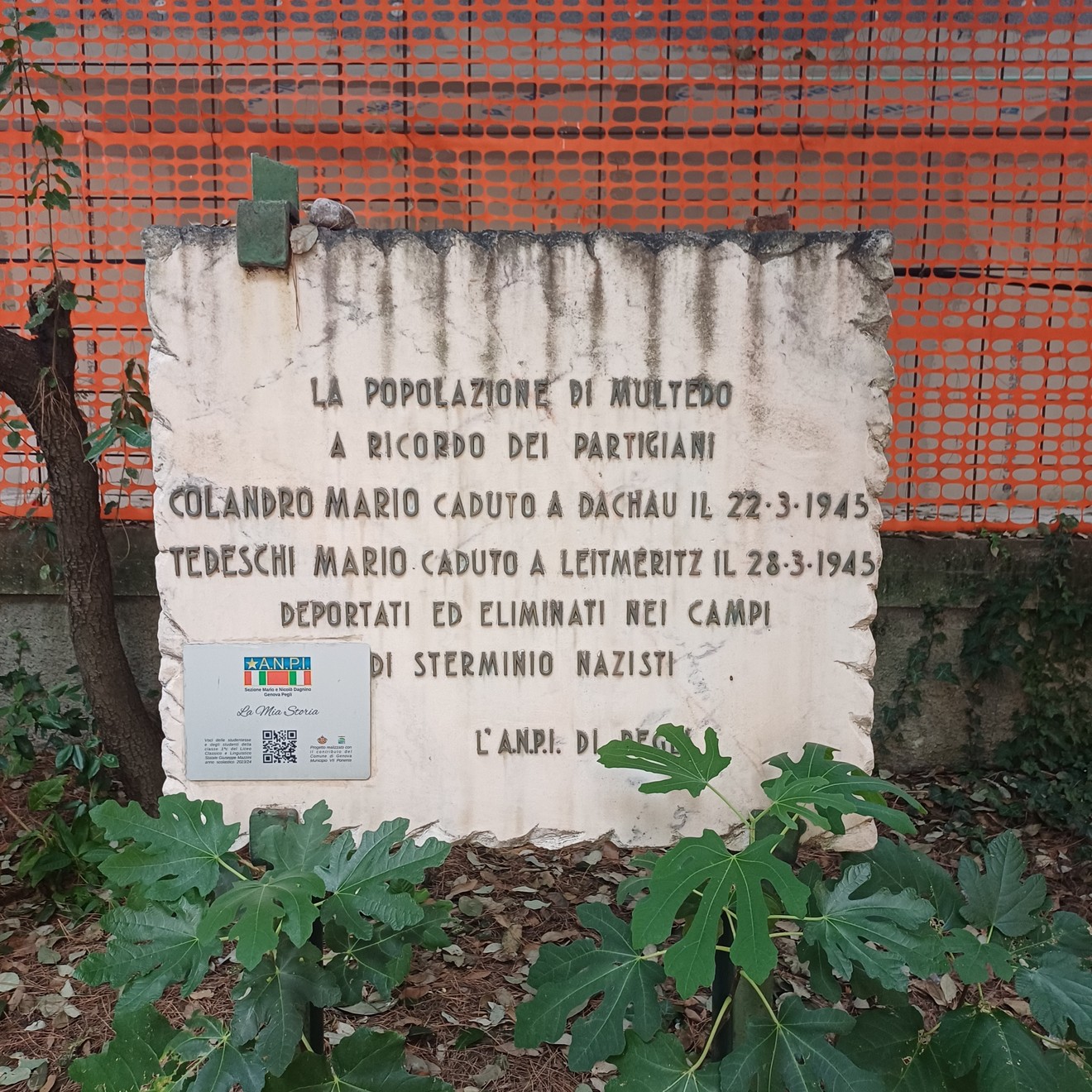 Lapide in marmo con iscrizione, appoggiata a terra tra piante, davanti a una rete arancione.