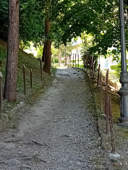 Sentiero ghiaioso immerso nel verde del Parco della Rimembranza, circondato da alberi e spenzierati raggi di sole.
