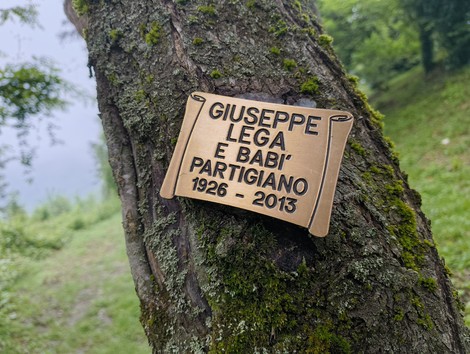 Targa commemorativa su un albero in memoria di Giuseppe Lega e Babì, partigiani dal 1926 al 2013.