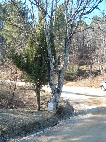 Cippo di Casa Gamberaia, luogo storico immerso nella natura, con alberi e strade sterrate circostanti.