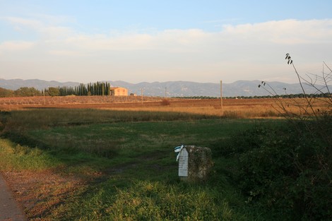 Cippo di Casa Silvestri, un simbolo di storicità immerso nel paesaggio collinare toscano.