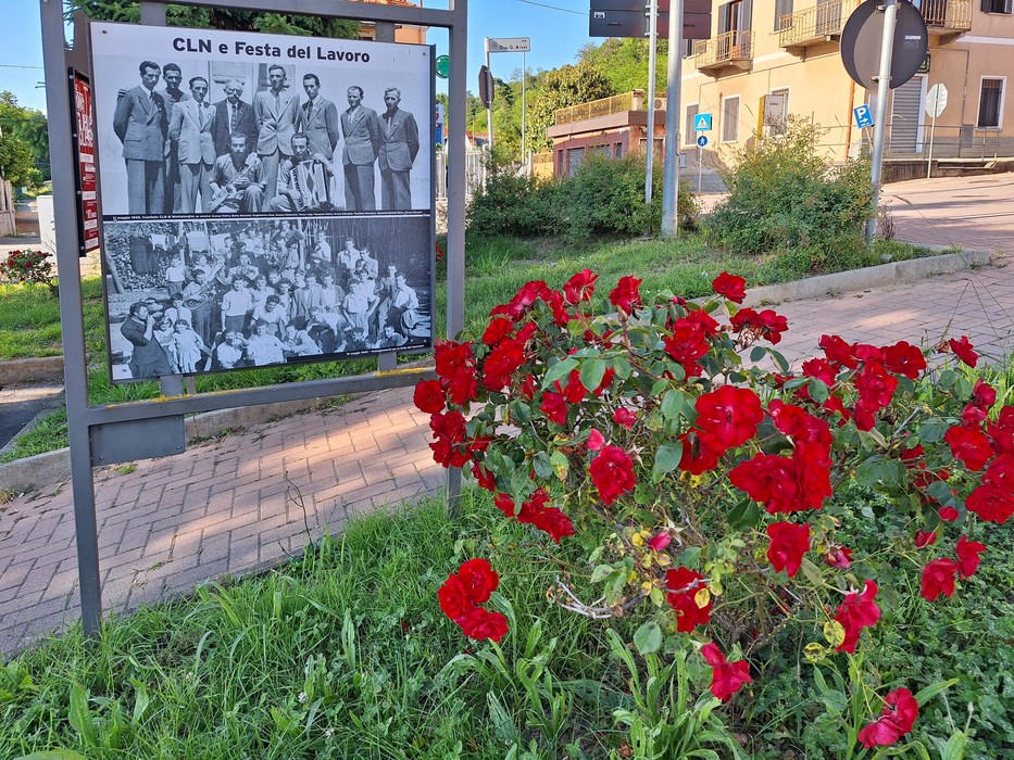 Pannello espositivo con foto storiche e titolo, collocato all'aperto accanto a un'aiuola con rose rosse.