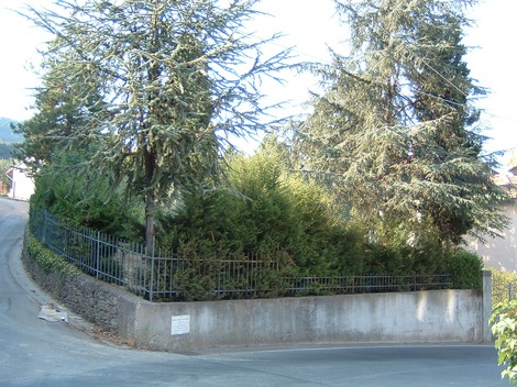 Lapide a Giubilei circondata da alberi e siepi, ubicata all'incrocio di una strada.