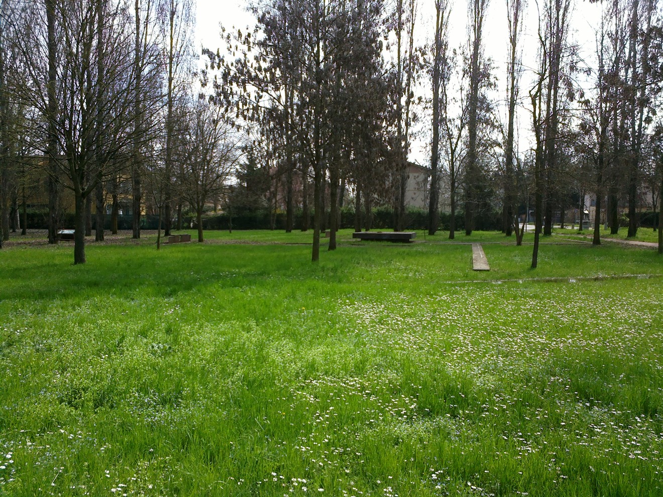 Parco verde con alberi e area relax, luogo simbolico per la Libertà e la Pace.
