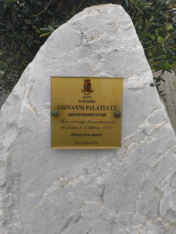 Ulivo commemorativo in memoria di Giovanni Palatucci, situato a Fiume, simbolo di giustizia e resilienza.