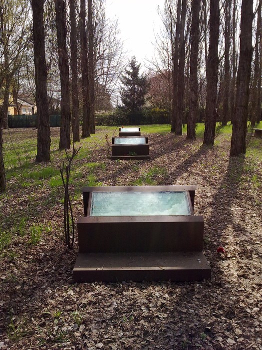 Monumento alla Libertà e alla Pace, immerso nella natura tra alberi e foglie, simbolo di riflessione e serenità.
