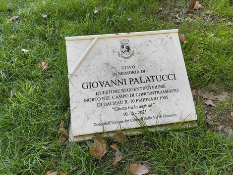 Ulivo dedicato a Giovanni Palatucci, in memoria del suo sacrificio nel campo di concentramento di Dachau.