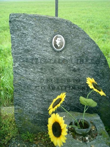 Cippo commemorativo in pietra con fotografie e girasoli nel paesaggio verde circostante.