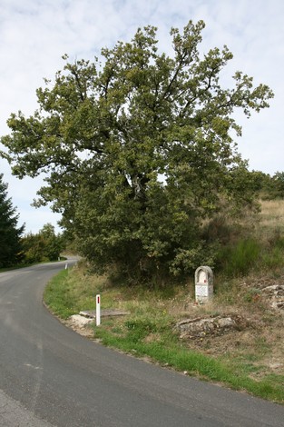 Cippo di Novelle, monumento storico immerso nella natura, lungo una strada panoramica tra le colline.