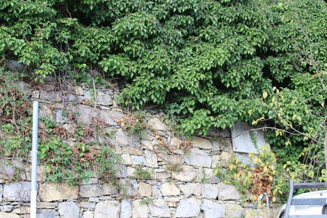 Lapide deteriorata immersa nella vegetazione, con pietre e piante che la circondano.