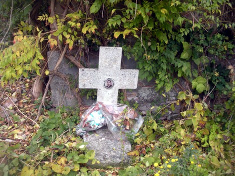 Croce in pietra circondata da vegetazione e fiori, simbolo di memoria e devozione a Bosio.