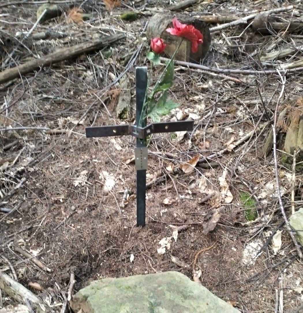Croce in ricordo di un partigiano polacco, immersa nella natura, simbolo di sacrificio e memoria storica.