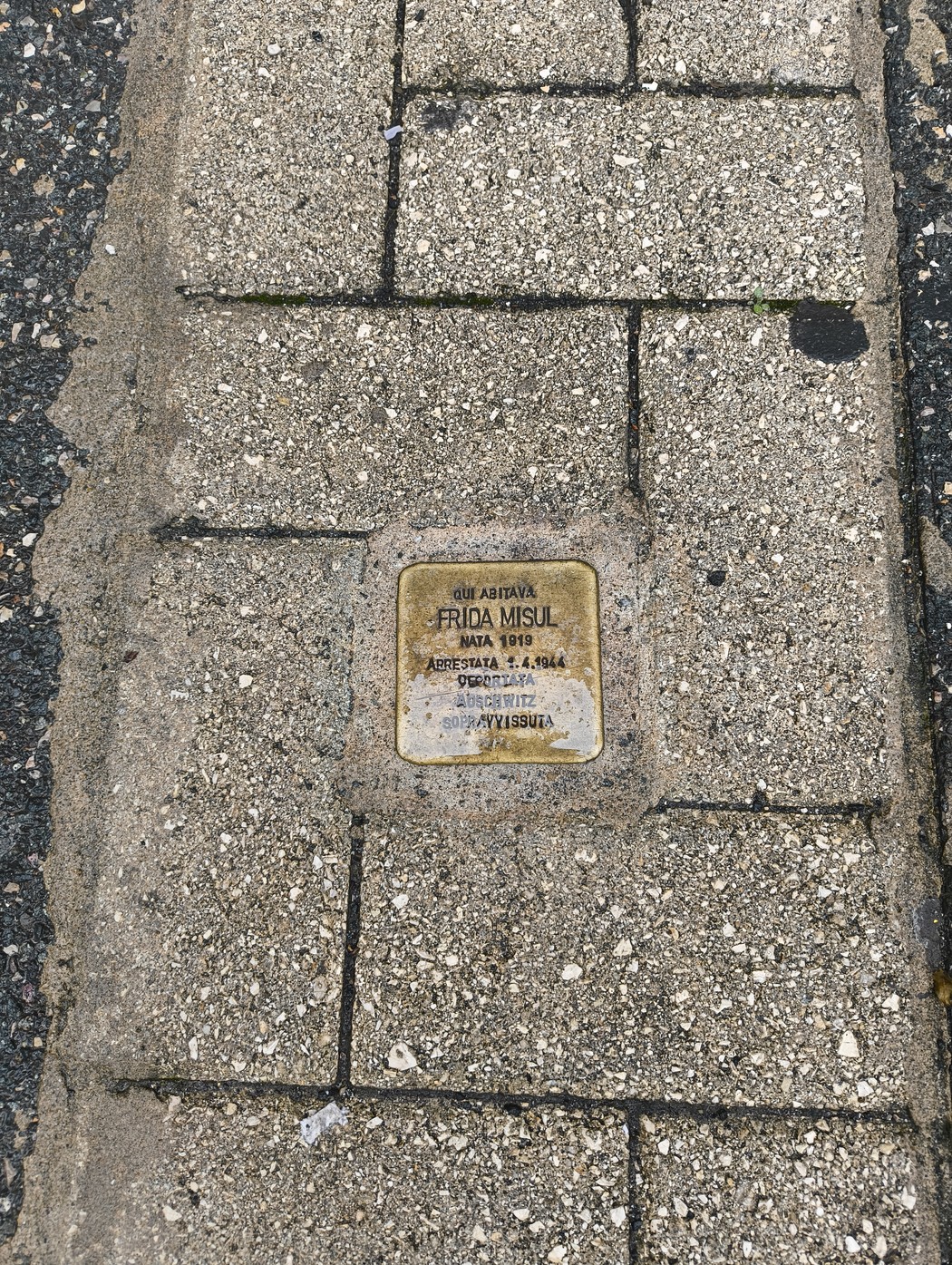 Pietra d'inciampo dedicata a Frida Misul, in memoria delle vittime della Shoah.
