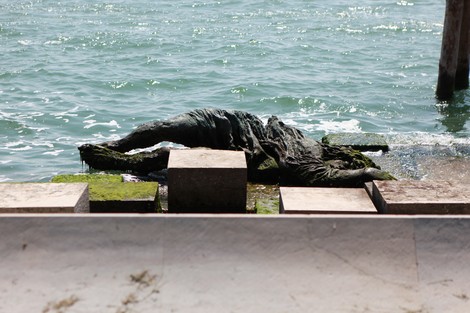 Monumento alla partigiana, statua immersa nell'acqua con vegetazione circostante e strutture in pietra.