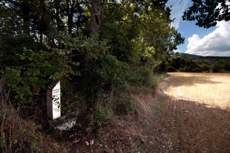 Cippo a Forti immerso nella natura, circondato da alberi e un campo aperto sullo sfondo.