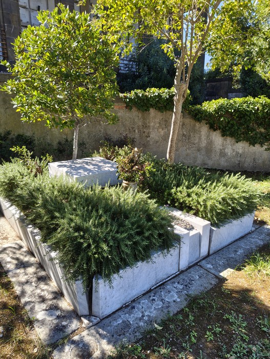 Sepolcro in pietra chiara circondato da cespugli di rosmarino, in un giardino recintato con alberi.