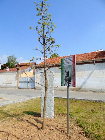 Cippo commemorativo con albero dedicato alle resistenti, in un contesto urbano e sereno.