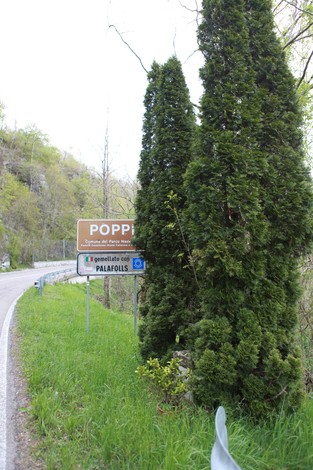 Cippo stradale verso Poppiano, circondato da vegetazione e alberi alti lungo la strada.
