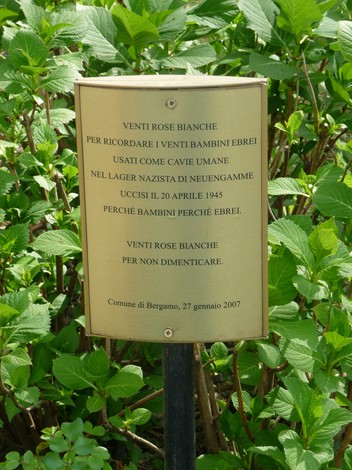 Installazione commemorativa con rose bianche in ricordo dei bambini ebrei uccisi nel lager di Neuengamme.