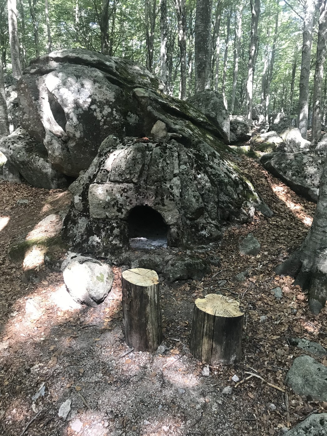 Ruderi storici del Campo del 7° battaglione "Ovidio Sabatini" immersi nella natura.