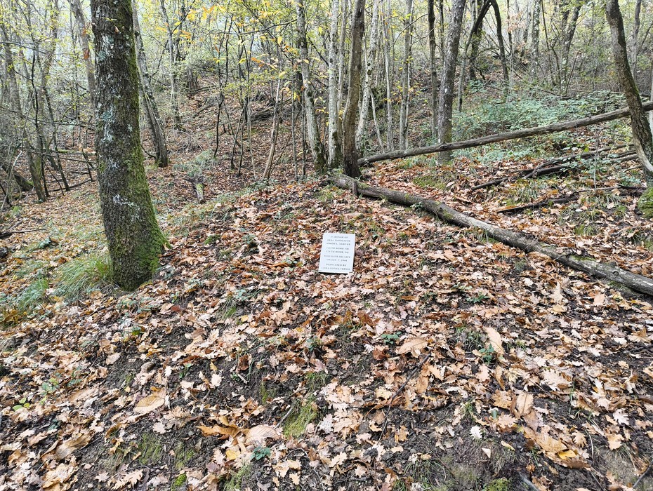 Monumento dedicato all'equipaggio del B25J, immerso nella natura con foglie e alberi circostanti.
