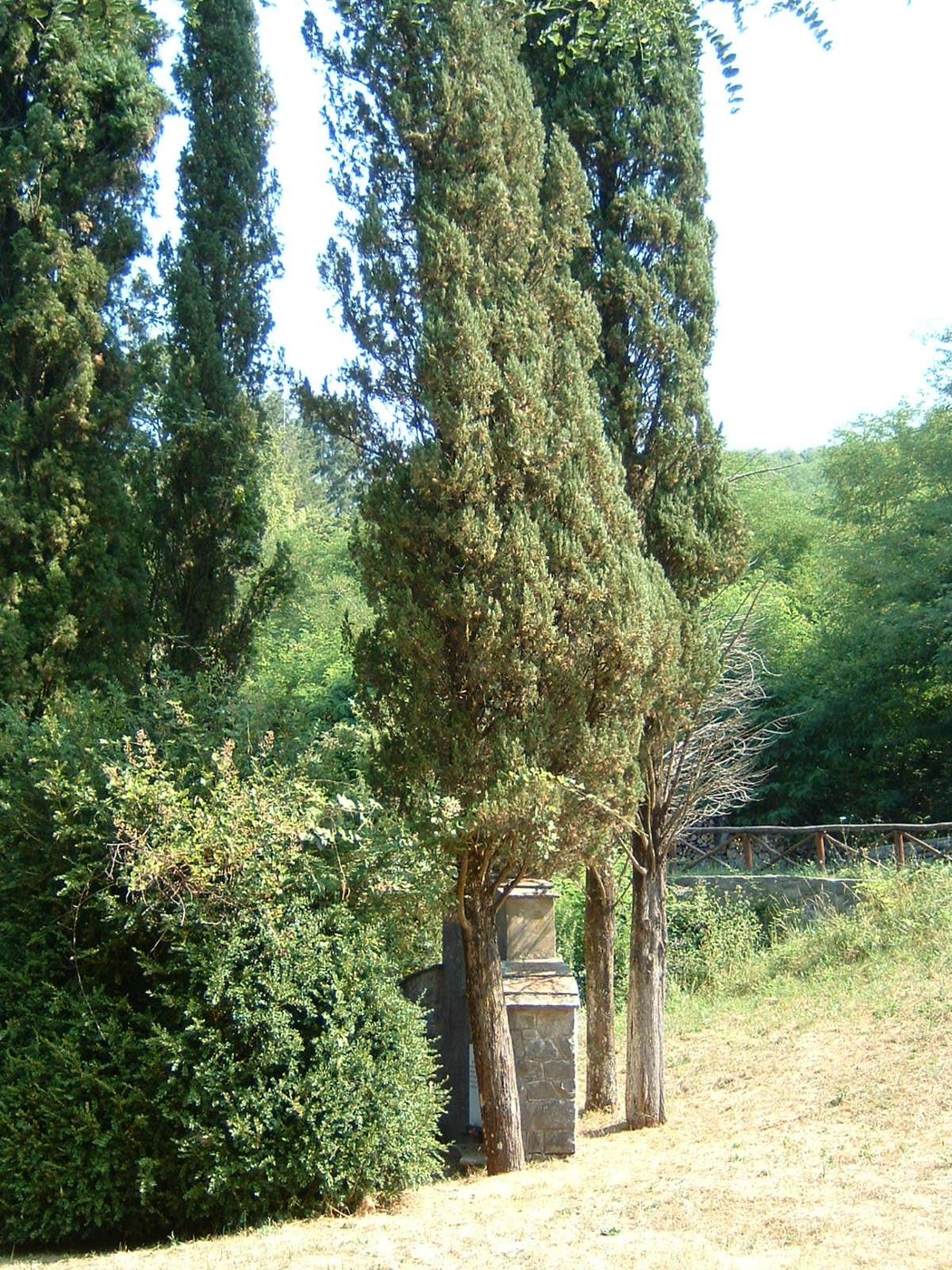 Tabernacolo in un paesaggio verde, circondato da alberi, dedicato ai fratelli Guermani.