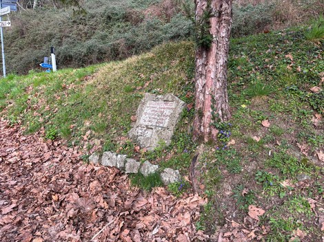 Cippo in pietra dedicato a Faliero Pucci, collocato su un campo erboso accanto a un albero.