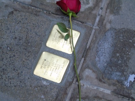 Pietre d'inciampo dedicate ai fratelli Coen con una rosa rossa accanto, simbolo di memoria e commemorazione.