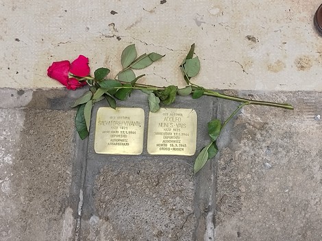 Pietra d'inciampo dedicata a Salvatore Vivante e Adolfo Nunes-Vais, adornata da una rosa rossa.